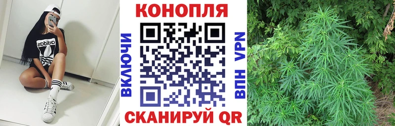 Бошки Шишки OG Kush Белово
